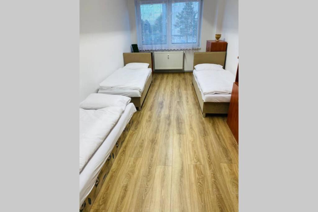Apartman Solax, Ucnovska 8, Kosice Saca 외부 사진